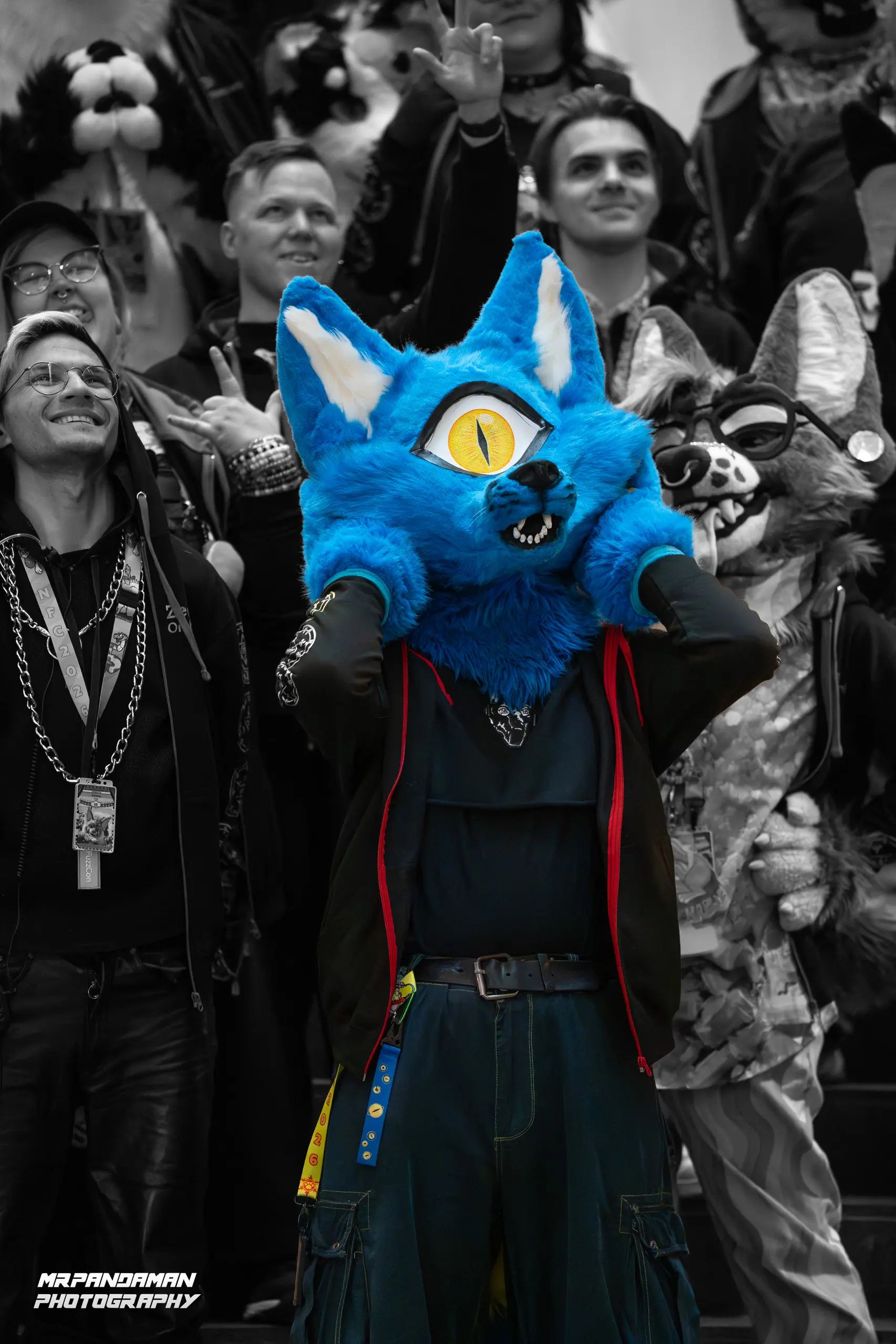 Top Picks NFC 2026 – photo 1