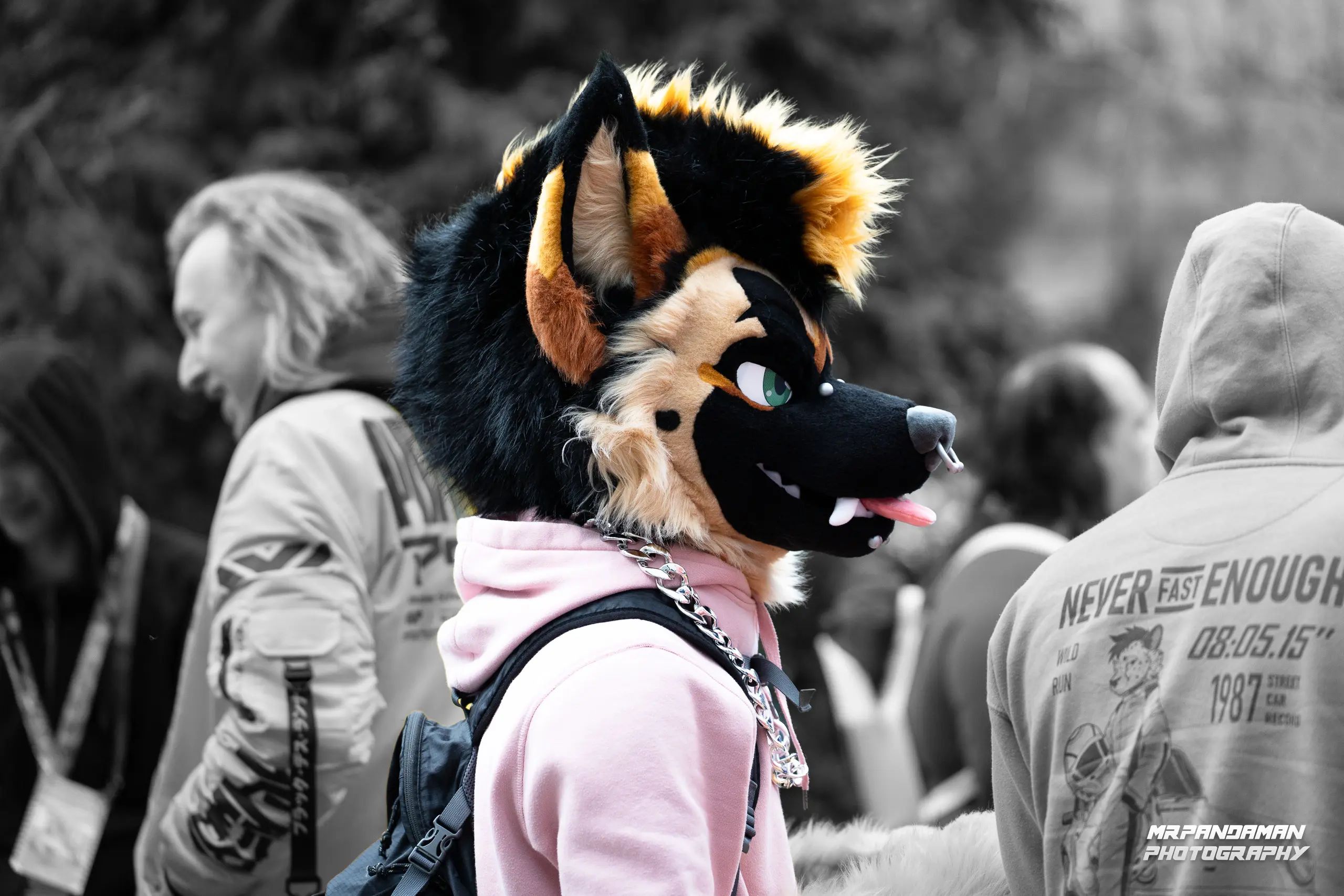 Top Picks NFC 2026 – photo 2