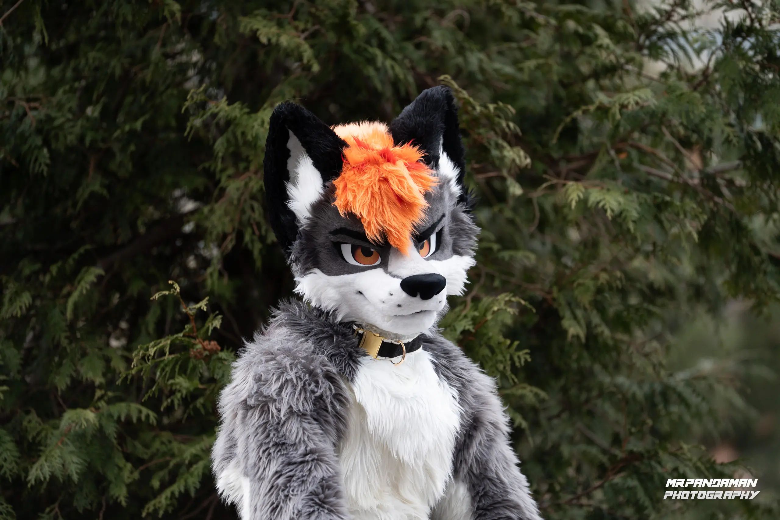 Top Picks NFC 2026 – photo 3