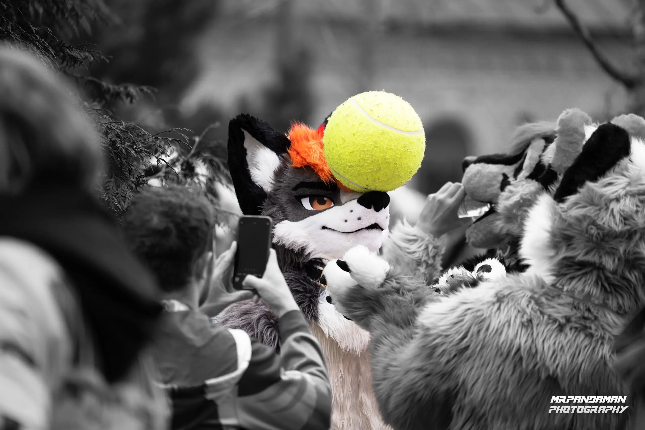 Top Picks NFC 2026 – photo 4