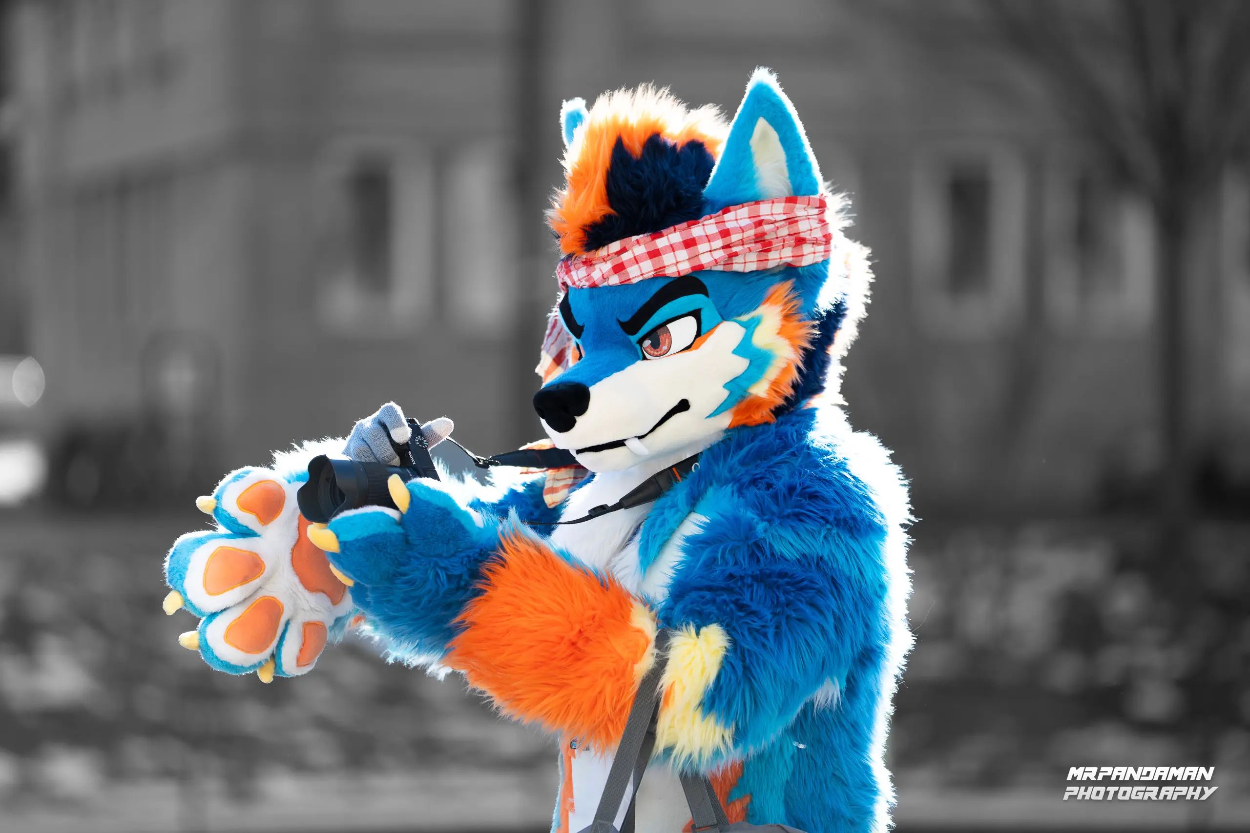 Top Picks NFC 2026 – photo 5