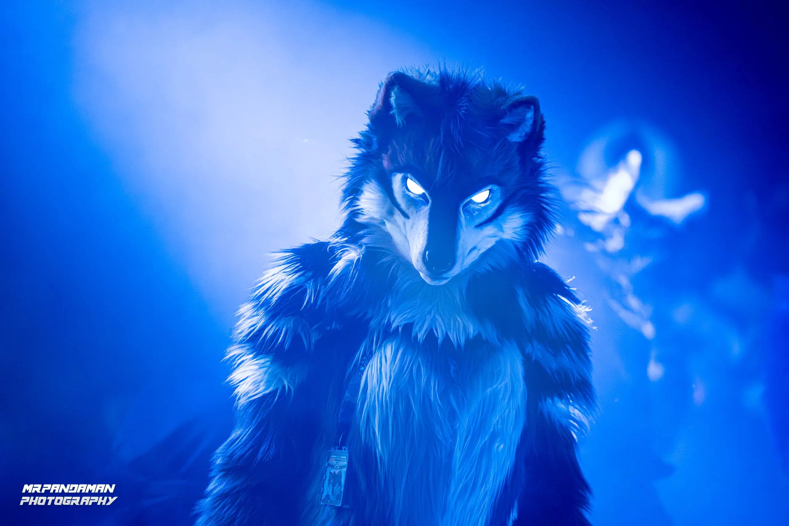 Top Picks NFC 2026 – photo 7