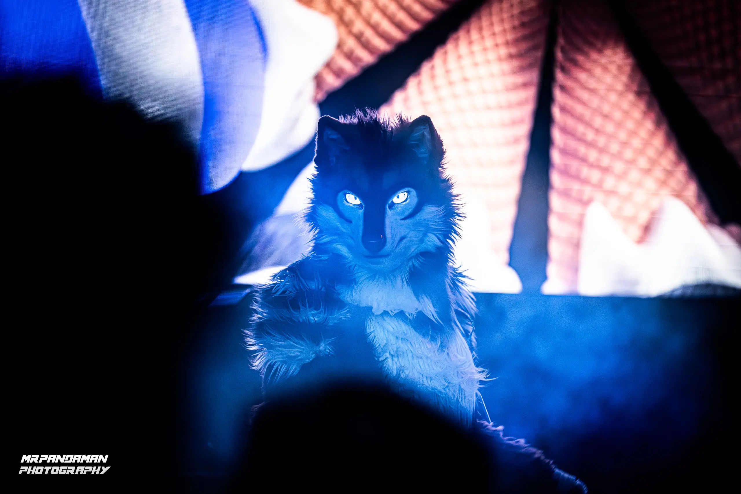 Top Picks NFC 2026 – photo 8