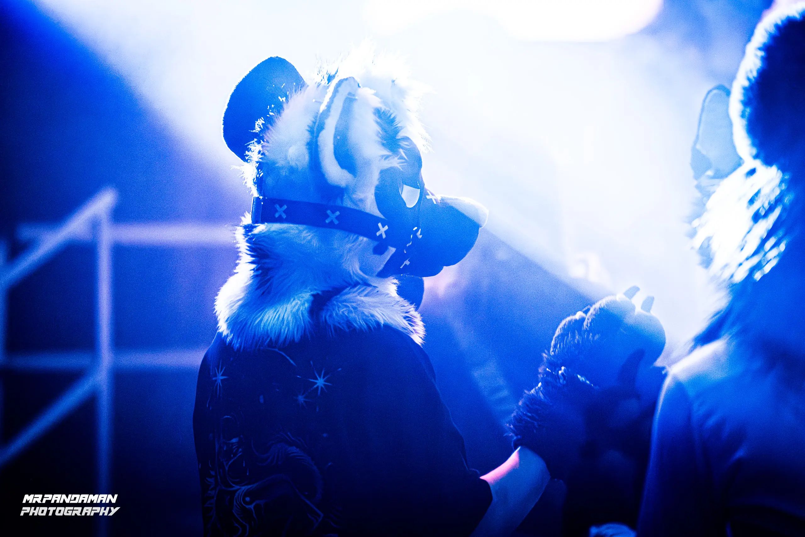 Top Picks NFC 2026 – photo 9