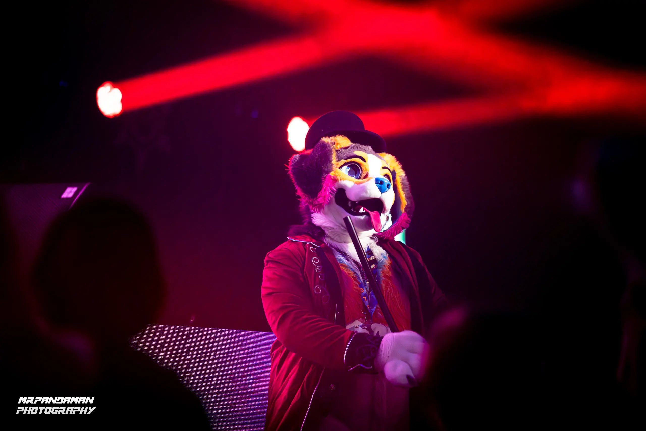 Top Picks NFC 2026 – photo 10