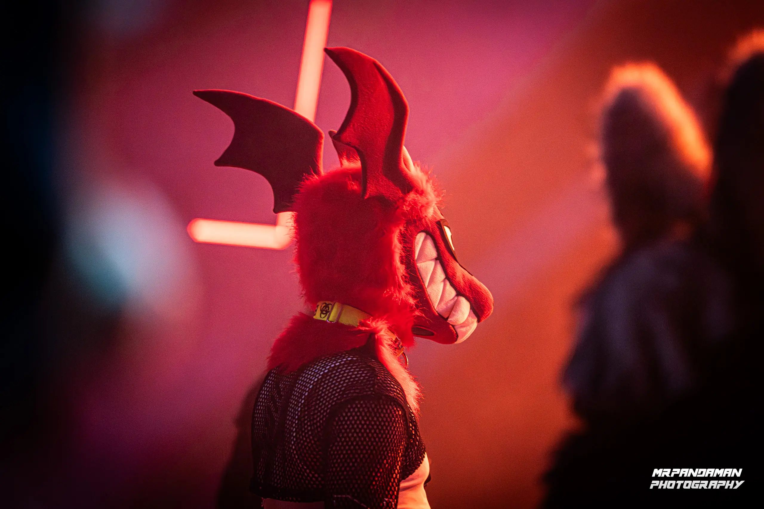 Top Picks NFC 2026 – photo 11