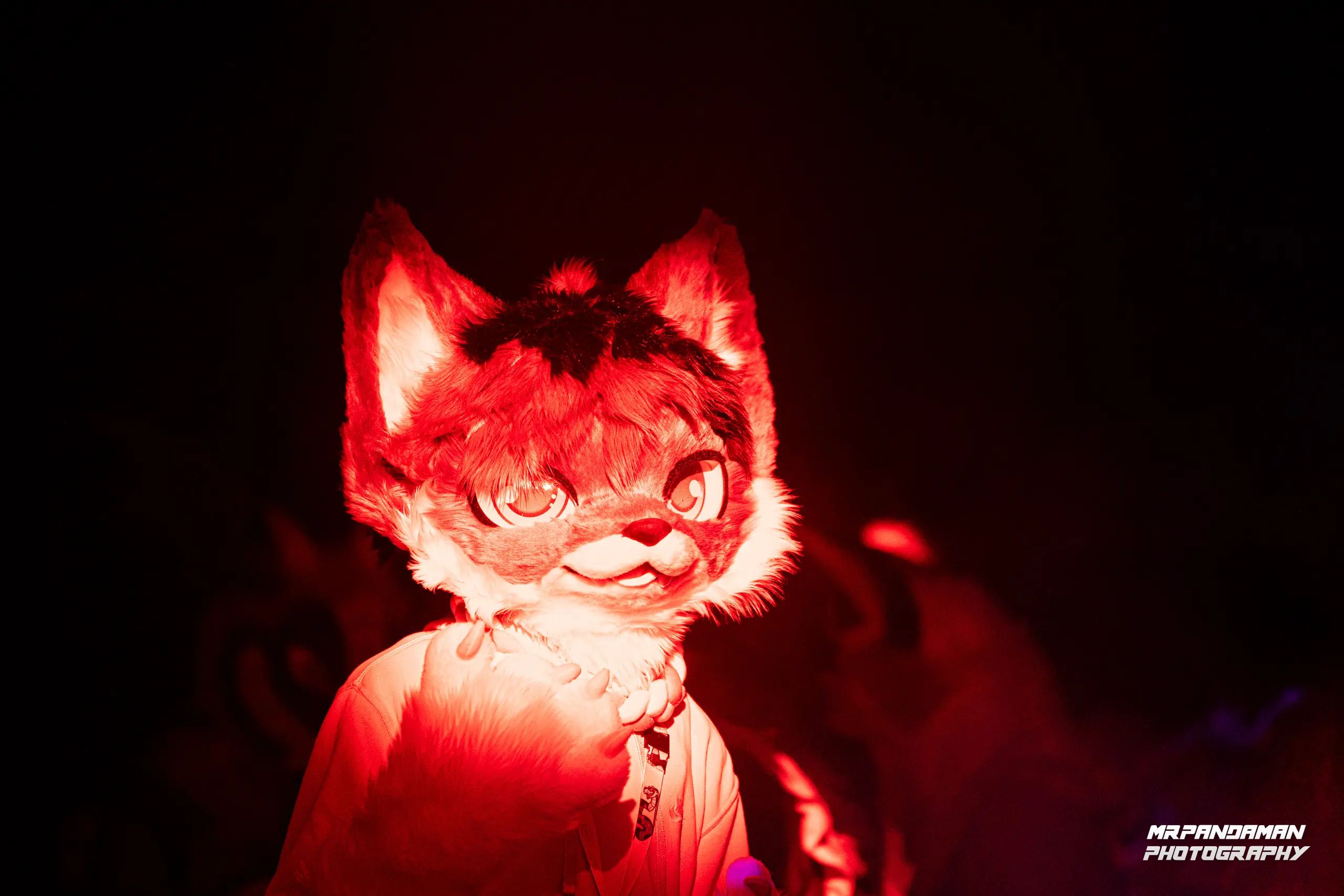 Top Picks NFC 2026 – photo 12