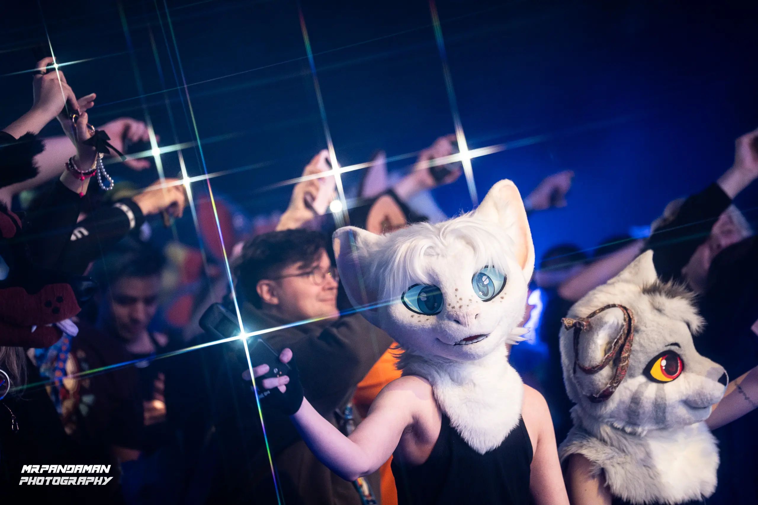 Top Picks NFC 2026 – photo 14