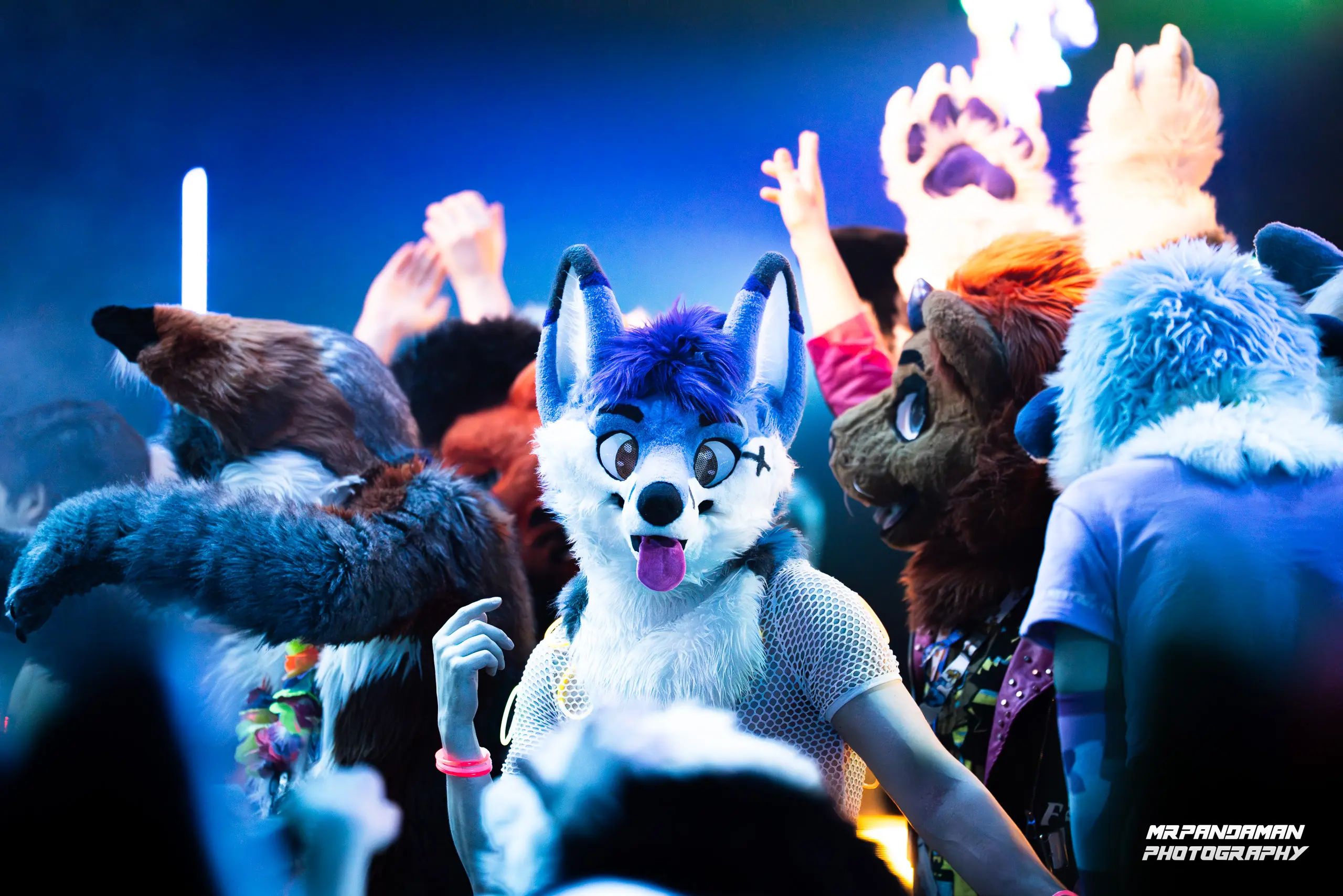 Top Picks NFC 2026 – photo 16